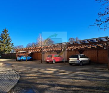 Zuhause mit Gute-Laune-Garantie - Photo 3