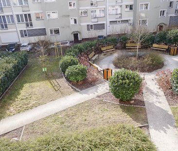 mieszkanie na wynajem Szczecin Stare Miasto - Photo 2