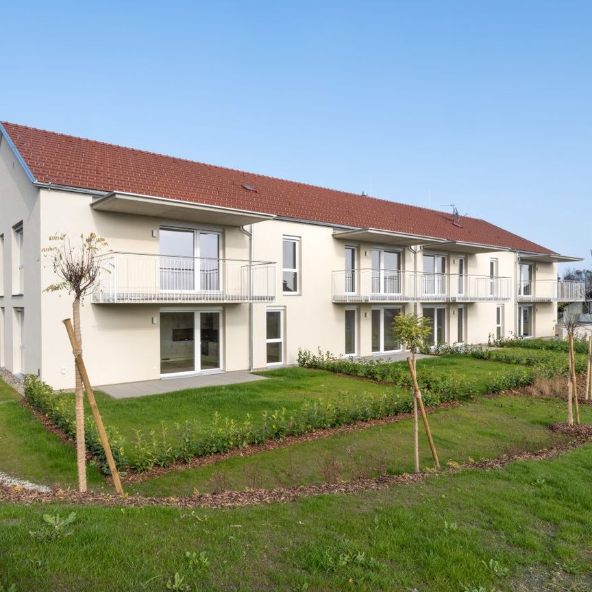 Sonnige 3-Zimmer-Wohnung inkl. Küche im Obergeschoss mit Balkon - Foto 2