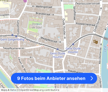 Annonciadenstraat, Gent - Foto 1