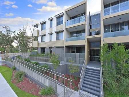 Unit 171/16 Boondah Road, Warriewood - Photo 3