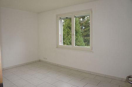 Maison à louer, Chemin Edouard-Sarasin, à Le Grand-Saconnex, Suisse - Photo 5
