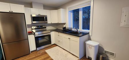 For Lease - 19 Ferris Circle Lane Unit# Basement, Guelph, Ontario - Photo 4