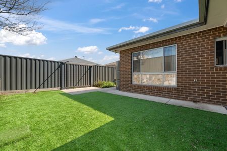 12 Dolly Street, Googong. - Photo 4