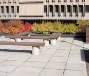 Centrally Located 1 Bedroom Condo In Downtown - Photo 6