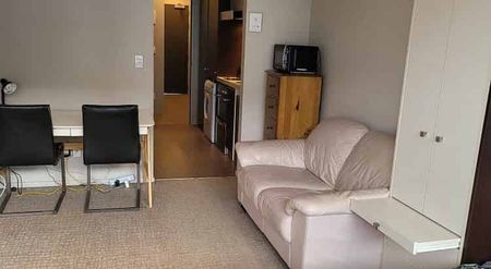 Fully furnished city fringe studio - Photo 5