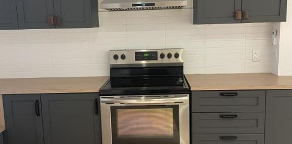 6 1/2 - Montréal (Le Plateau Mont-Royal) - 2 975 $/mois - Photo 2