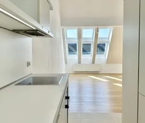 MARGARETENHOF /// PLATZ UND LICHT /// TOLLE DACHTERRASSENWOHNUNG - Photo 1