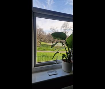 Room in a Shared Flat, Hanover Square, LS3 - Photo 3