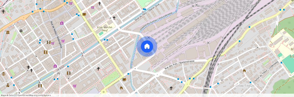 2503, Biel, Rue Des Cygnes / Schwanengasse, 19