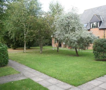 1 bedroom property to rent - Photo 1