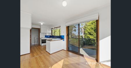 Three Bedroom Family Home In Popular Kingston - Photo 5