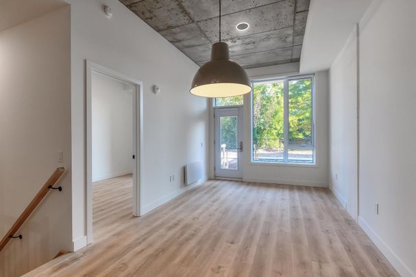 ERIN Condo apartments for rent in Pointe-Saint PSC - Photo 1