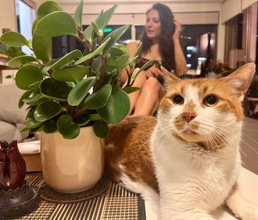 Woolloomooloo - Photo 3