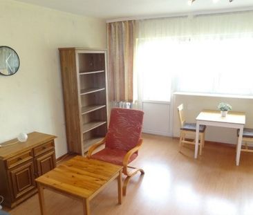 Zabrze Johanna Goethego - Фото 2