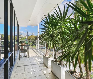 201/85 New South Head Road, Edgecliff NSW 2027 - Apartment For Rent... - Photo 4