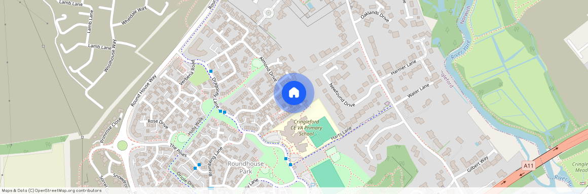 Chestnut Place, Cringleford, NR4 7BD