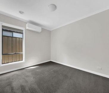 Family Entertainer! - Photo 4