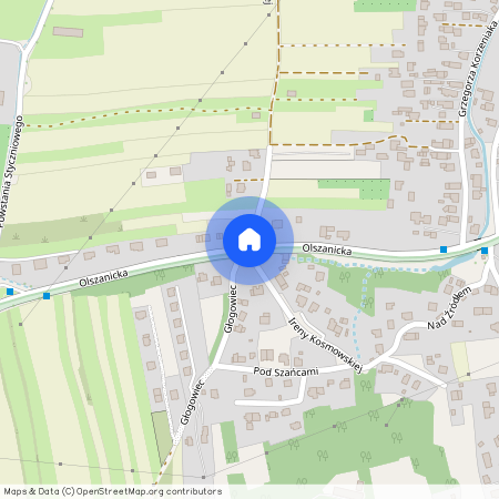 ul. Olszanicka, Olszanica, Zwierzyniec, Kraków, małopolskie