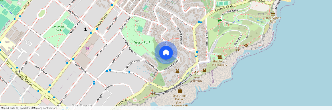 2/48 Nesca Parade, The Hill NSW 2300