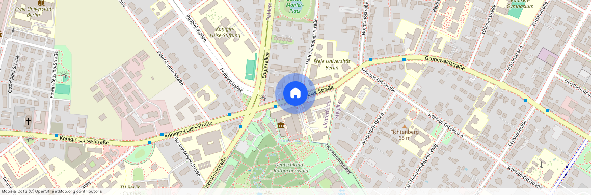 Königin-Luise-Straße, 14195 Berlin - Steglitz