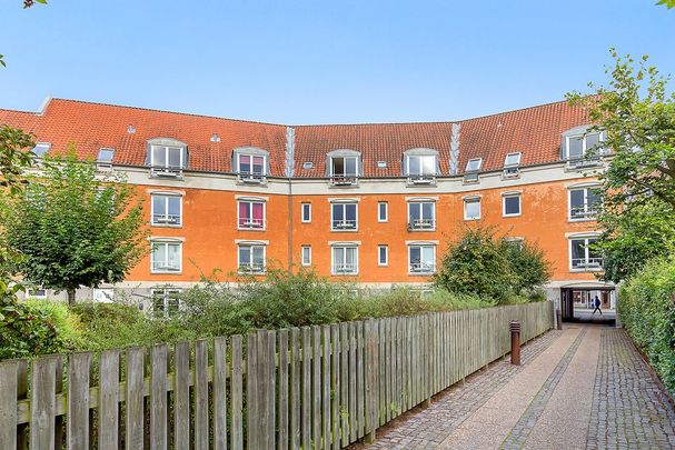 Afd. 44 Mejerigrunden - Photo 1