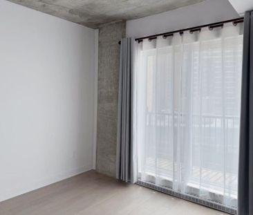 1971 Rue du Havre Montréal (Ville-Marie), QC H2K - Photo 6