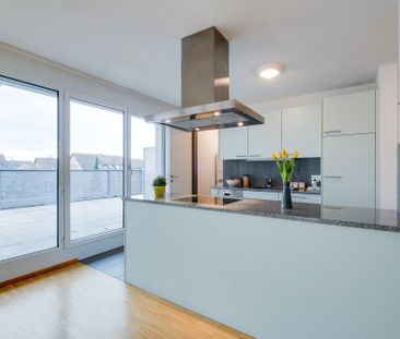 For sunny moments – Large roof terrace in the heart of Egerkingen - Foto 3