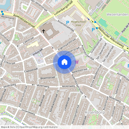 Oud-Assendorp, 8012 DG, Assendorperstraat, Zwolle