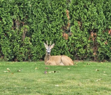 Minervavägen, Sollentuna - Photo 5