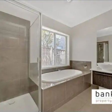 Williams Landing - Photo 4