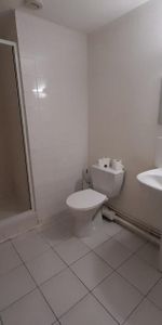 Location Appartement 1 pièce 29m² LIMOGES 87000 - Photo 3