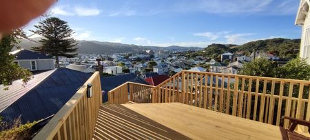 European Luxury with Best City Views in Newtown - Photo 4