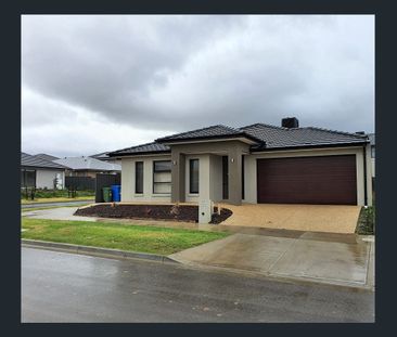 Large Four Bedroom in the Minta Estate - Photo 3