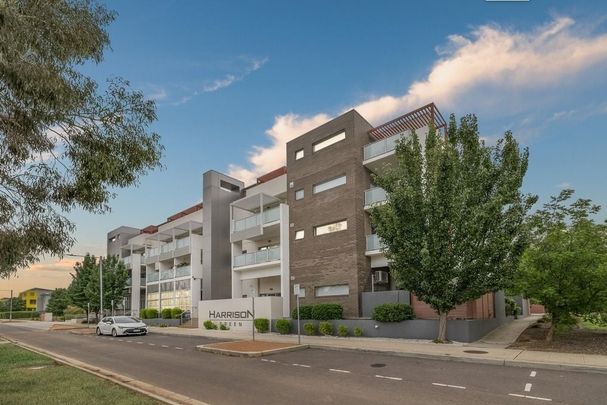 49/11 Wimmera Street, Harrison ACT 2914 - Apartment For Rent | Domain - Photo 1