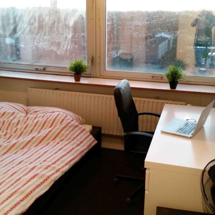 Te huur: Kamer Aan 't Verlaat in Delft - Foto 1