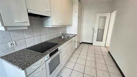 Gemütliche Wohnung beim Helvetiaplatz - Foto 2