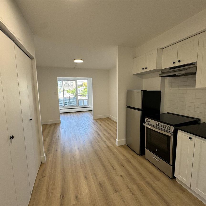 BELAIR 1 - 1 Bedroom - 1185 Rue Du Fort, Ville-Marie - Photo 1