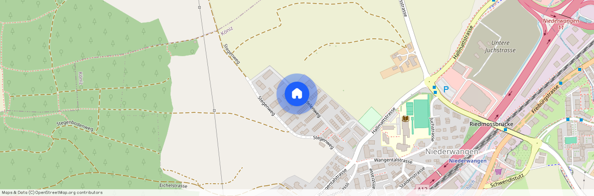 Bodelenweg 101, 3172, Niederwangen B. Bern