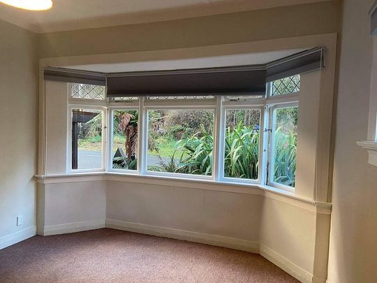 Sunny spot close to city, uni & hospital - Photo 1