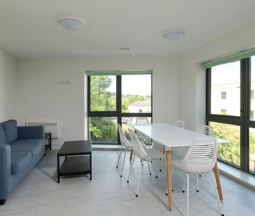 STUDENT ACCOMMODATION RENT INCLUDES UTILITIES AND WI-FI. An excitin... - Photo 4