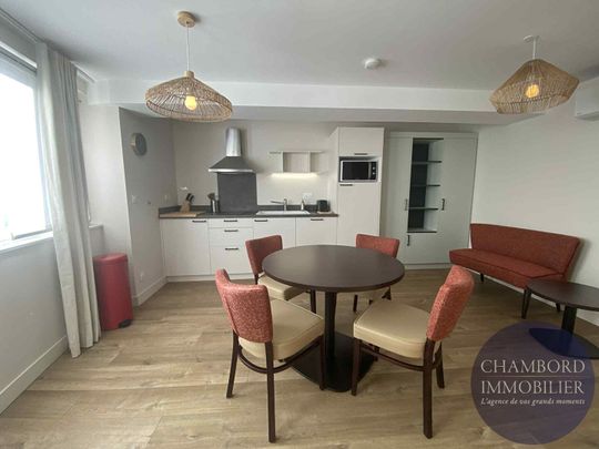 Appartement entièrement meublé à Cour Cheverny 41 m2 - Photo 1