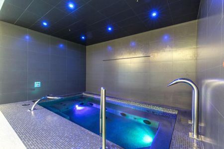 Appartement à louer - Montréal (Le Sud-Ouest) (Griffintown) - Photo 2