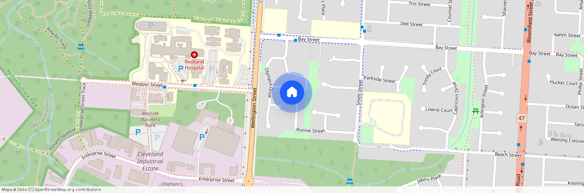 42 Ronnie Street, Qld 4163, Cleveland