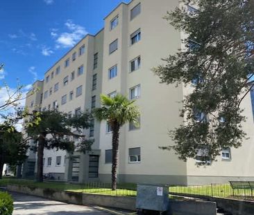 3.5 Zimmer, 75 m², EG - Foto 6