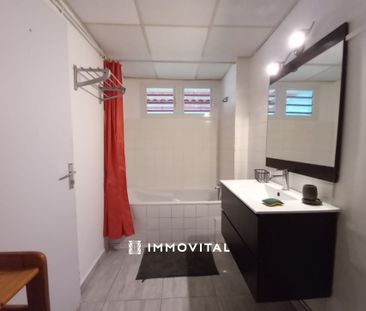 Location Appartement 1 pièce 31m² LE MOULE 97160 - Photo 3