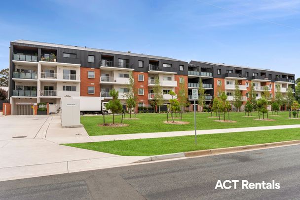 49/16 Bradfield Place, Downer ACT 2602 - Apartment For Rent | Domain - Photo 1