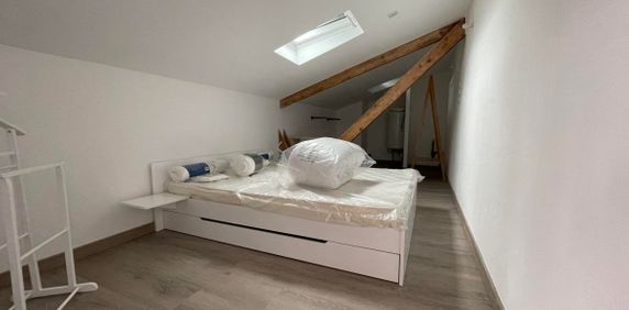 Location Appartement T3 Toulouse 2 chambres - Photo 2