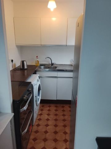 Studio Flat, Spencer Mews, W6 - Photo 3