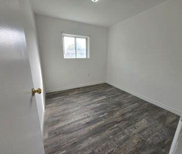 For Lease - 41 Essa Road Unit# 1, New Tecumseth, Ontario - Photo 4